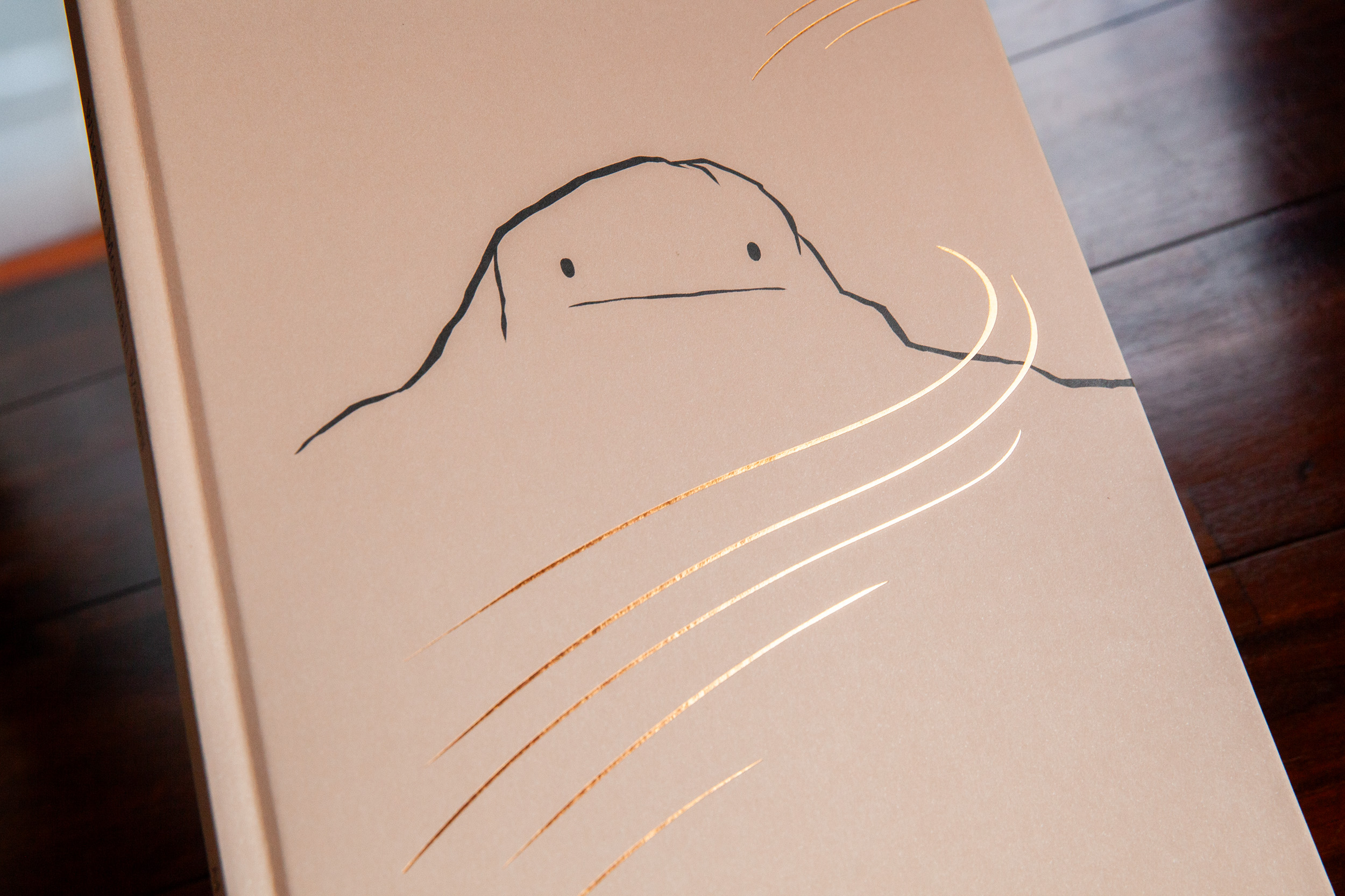 When the Mountain Wakes cover finishes