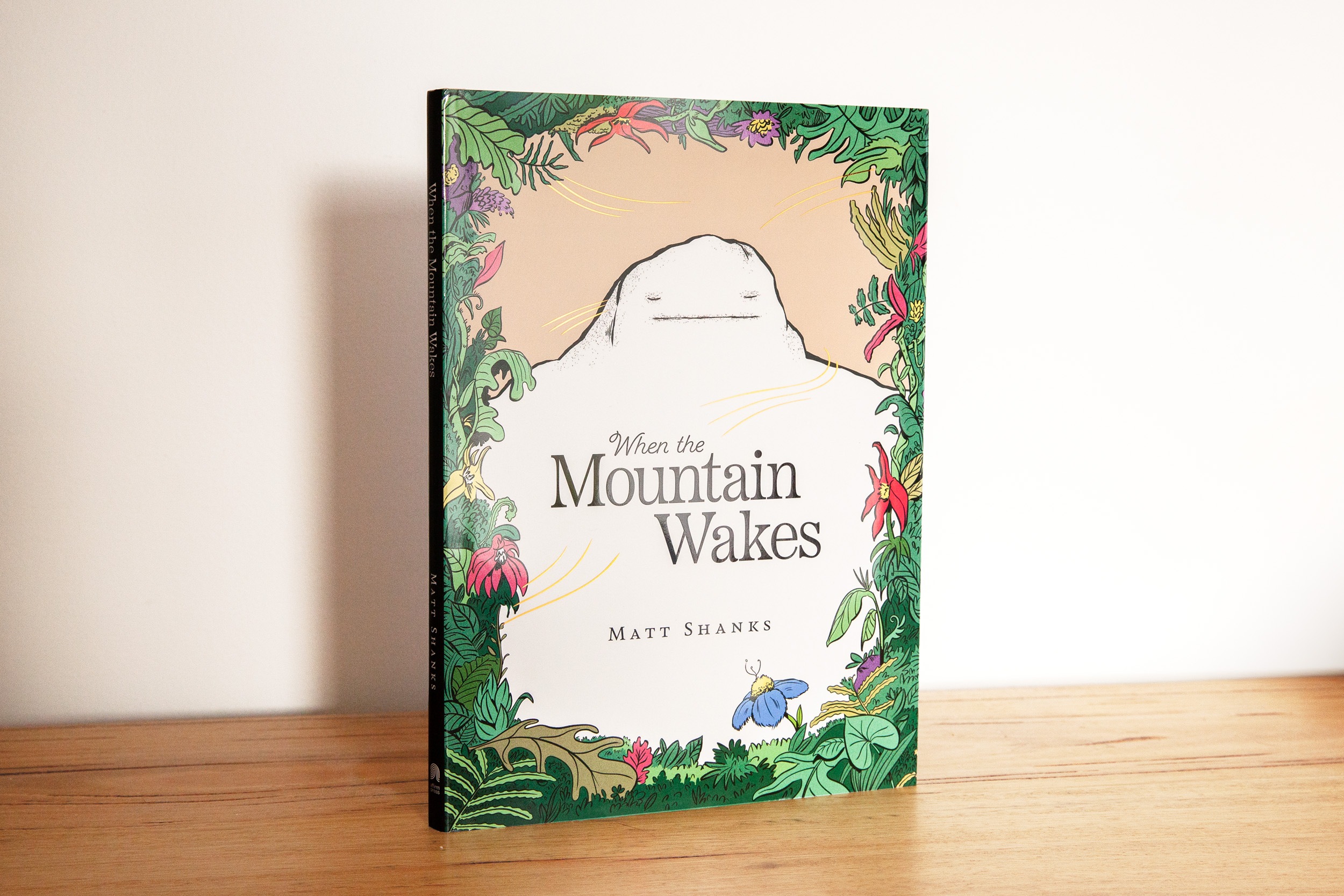 When the Mountain Wakes dust jacket