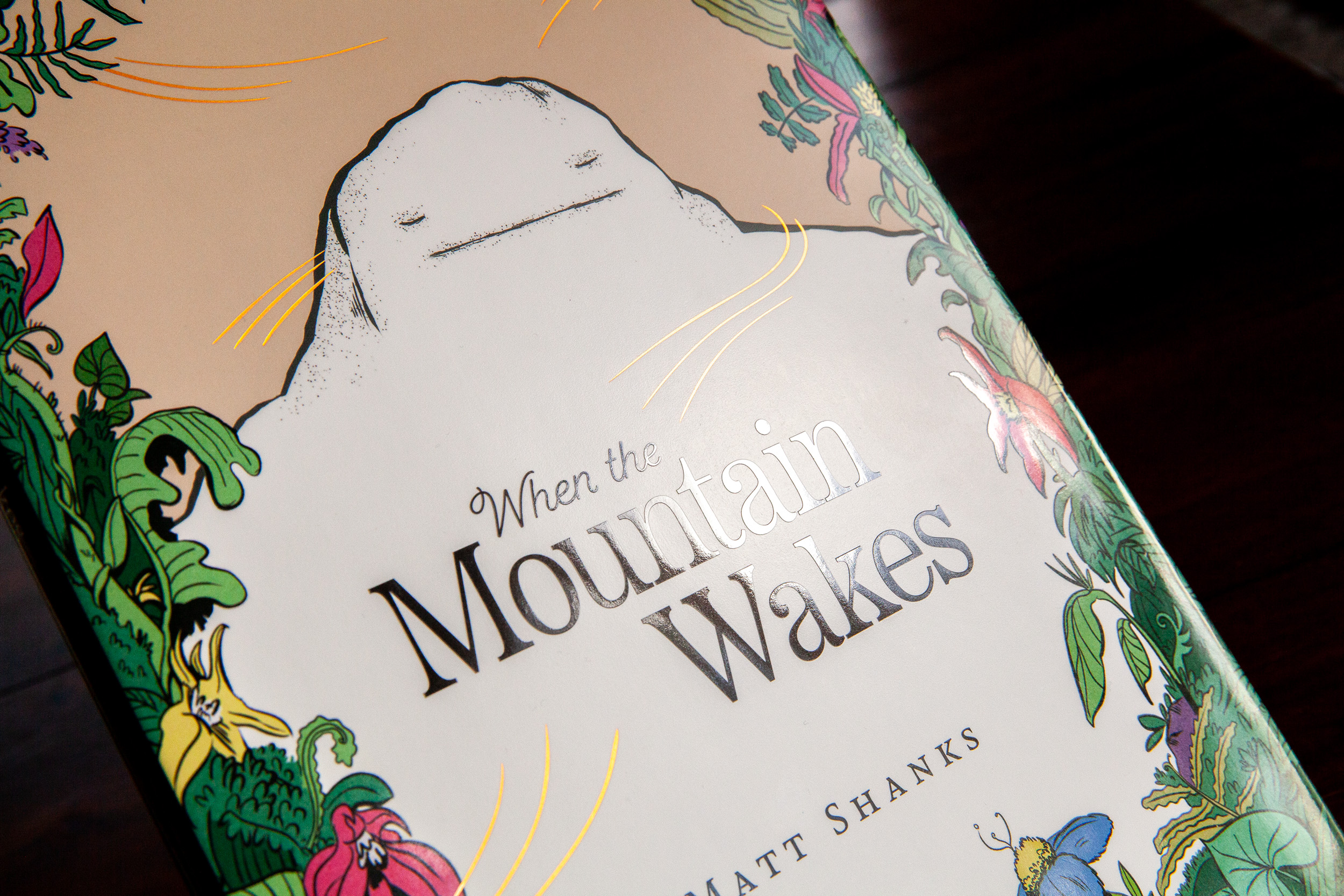 When the Mountain Wakes dust jacket finishes